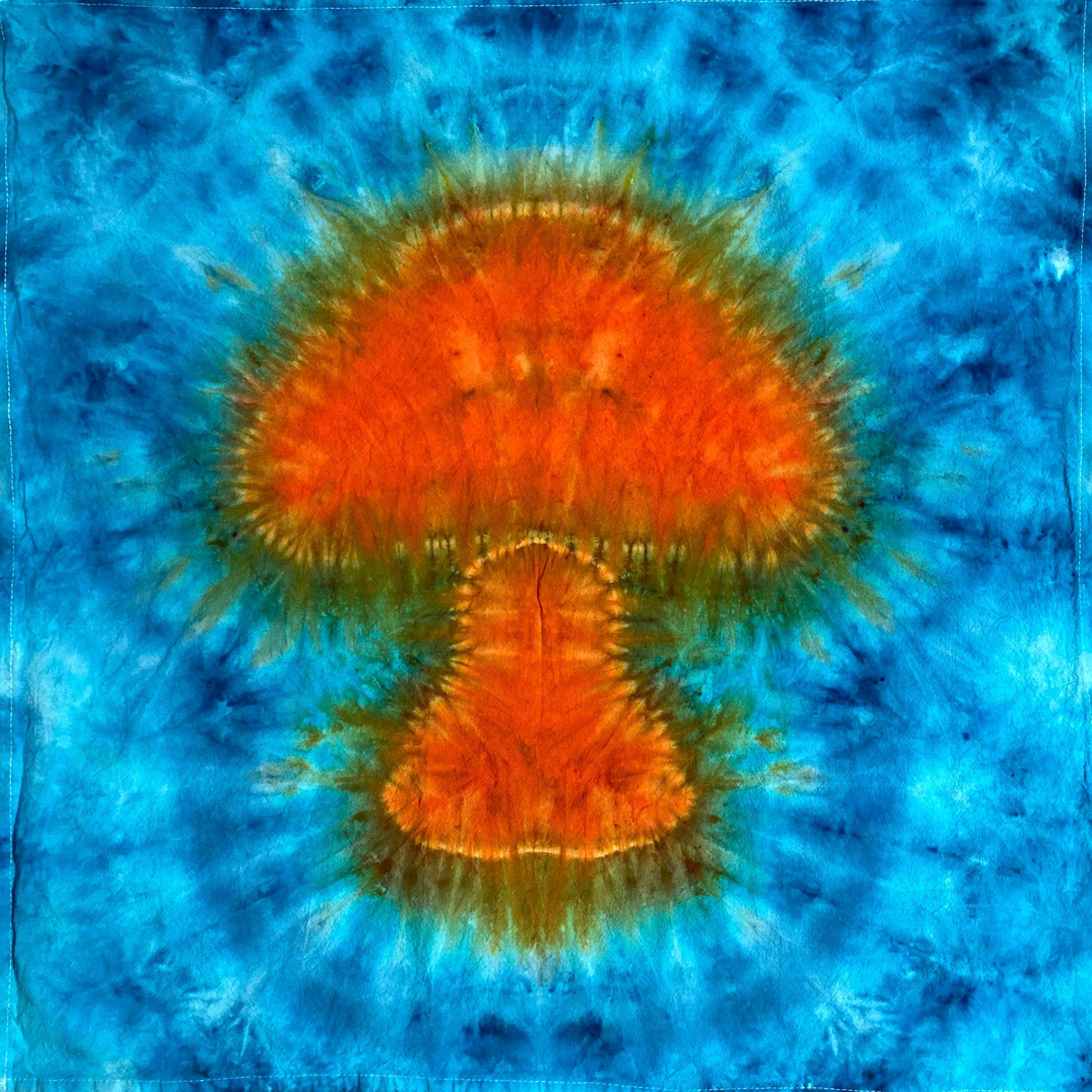 Tie dye 2025 mushroom tapestry